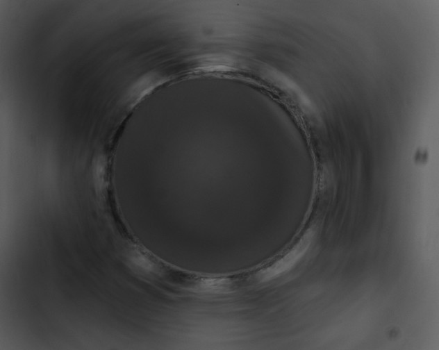 X0000102811353200809081059