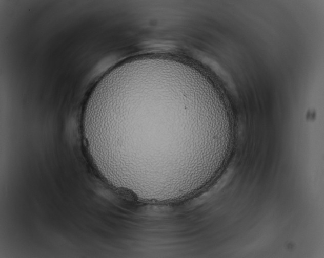 X0000102811354200809081059