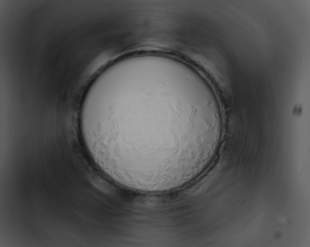 X0000102811355200809081059