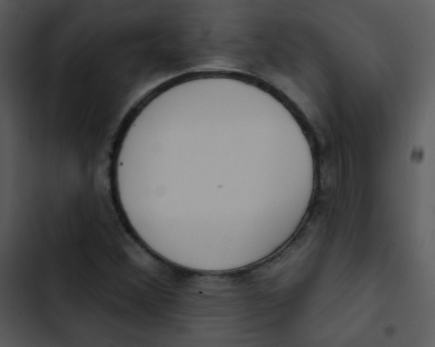 X0000102811356200809081059