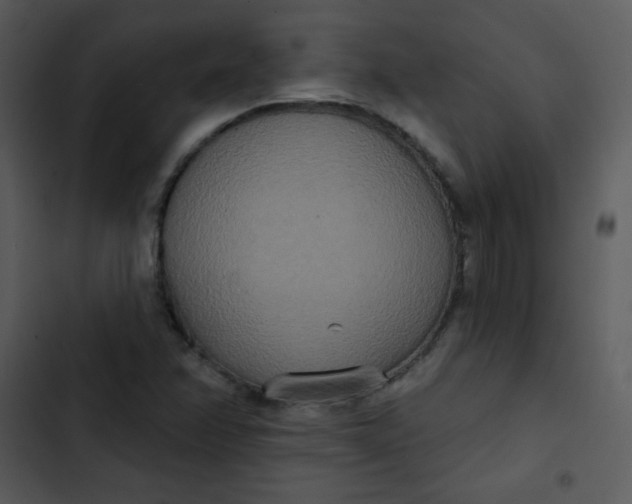 X0000102811358200809081059