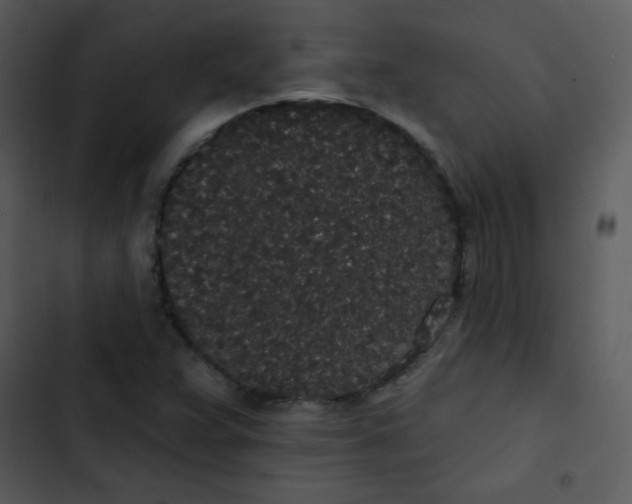 X0000102811359200809081059