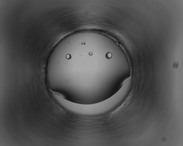 X0000102811361200809081059