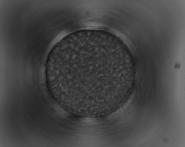 X0000102811362200809081058