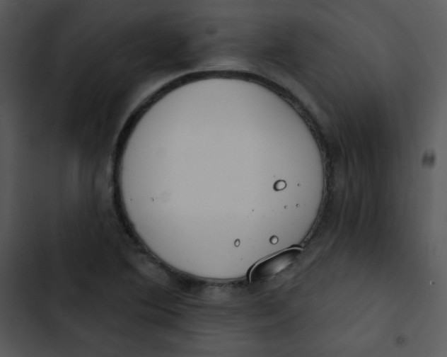 X0000102811364200809081058