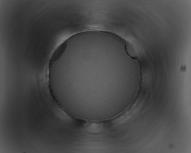 X0000102811365200809081058