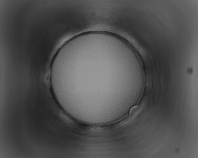 X0000102811366200809081058