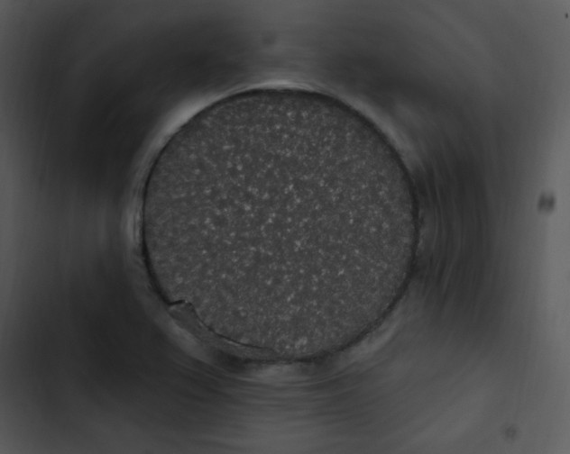 X0000102811367200809081058