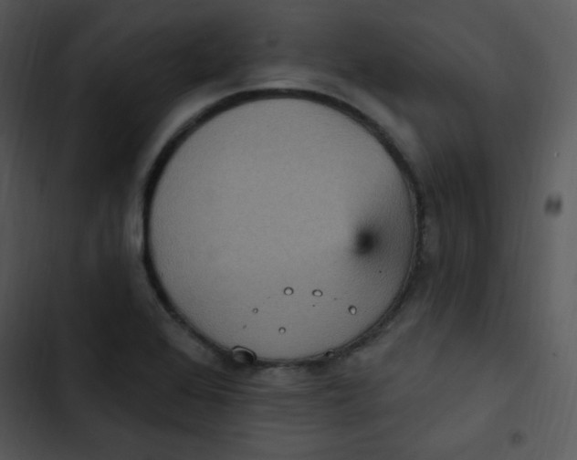 X0000102811368200809081058