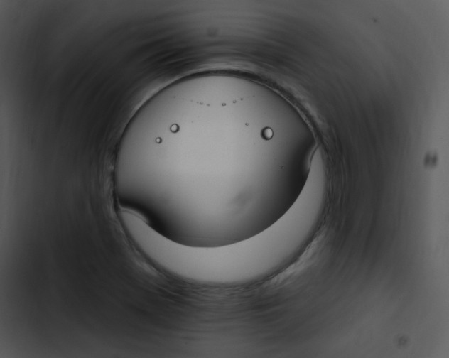 X0000102811369200809081058