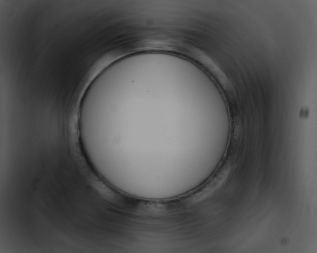 X0000102811370200809081058