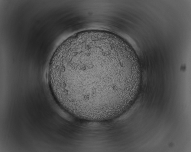 X0000102811371200809081058