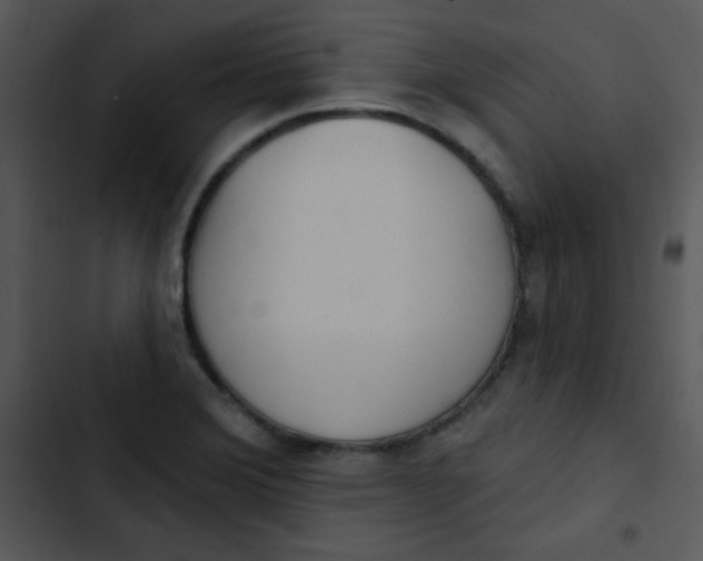 X0000102811372200809081058