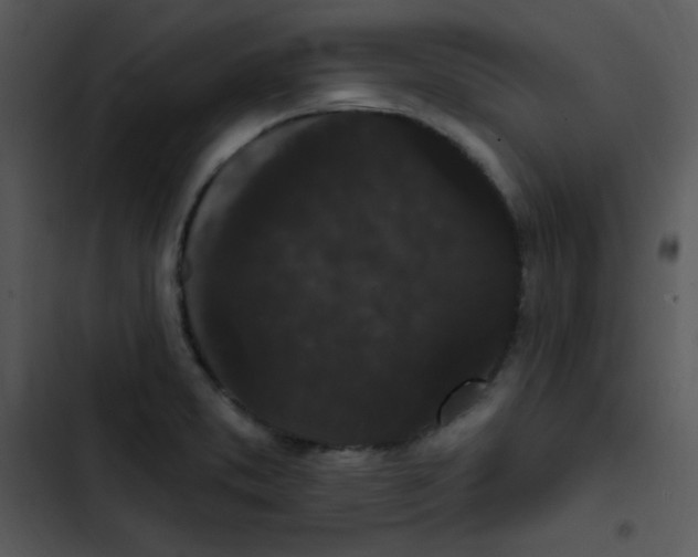 X0000102811373200809081058