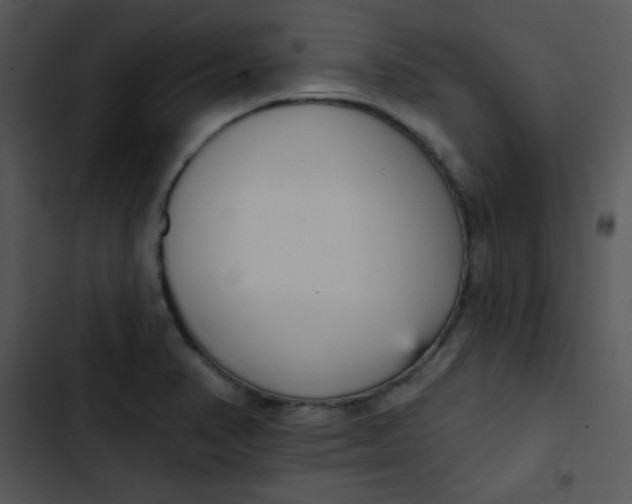 X0000102811374200809081058