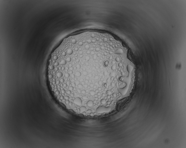 X0000102811375200809081058