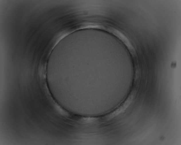 X0000102811377200809081058