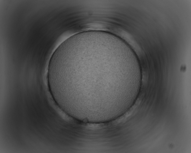 X0000102811378200809081058