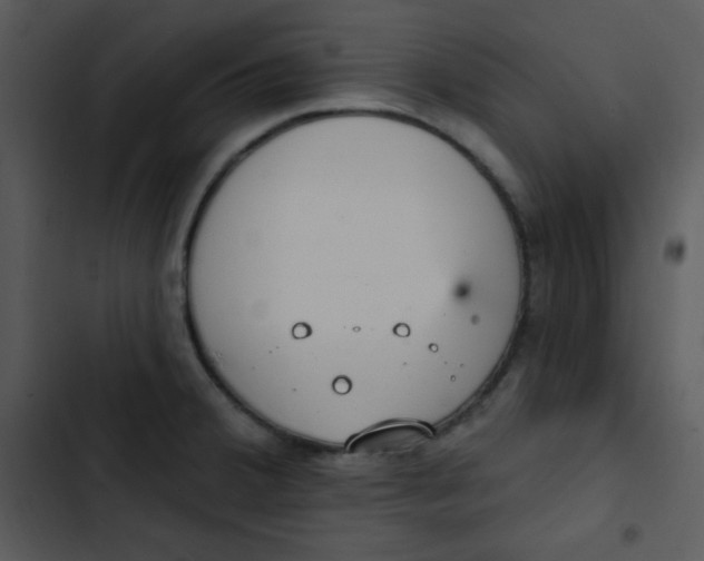 X0000102811380200809081058