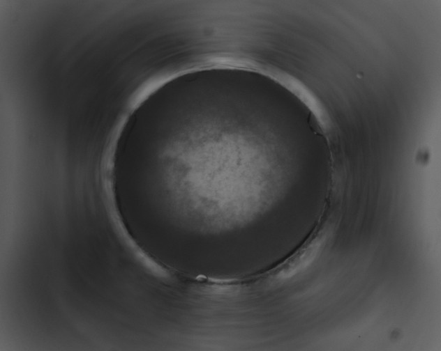 X0000102811381200809081058