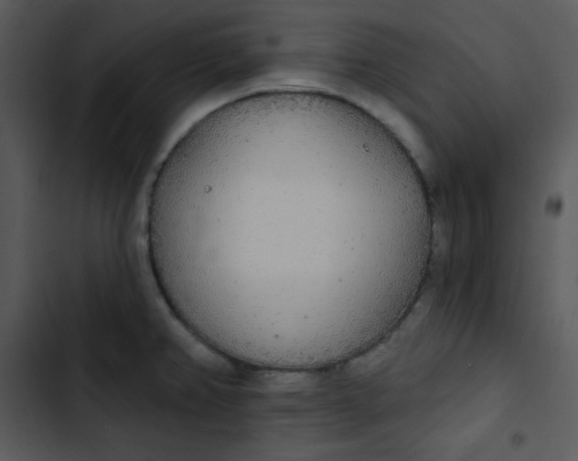 X0000102811382200809081058