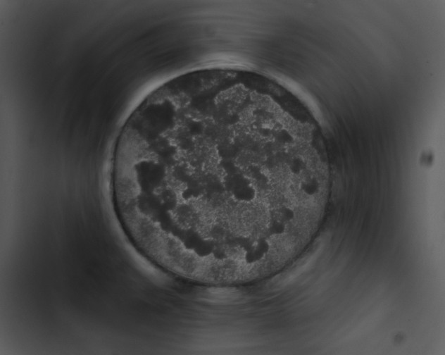 X0000102811383200809081058