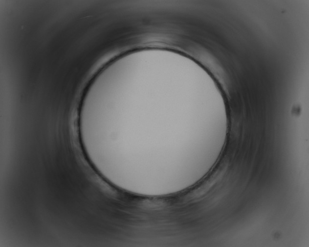 X0000102811384200809081058