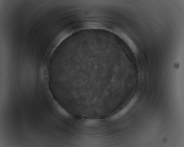 X0000102811385200809081058