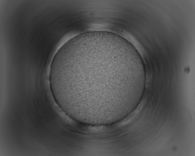 X0000102811386200809081058