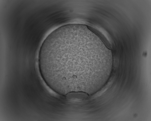 X0000102811387200809081058