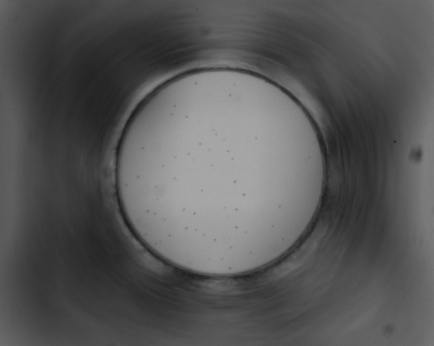 X0000102811388200809081058