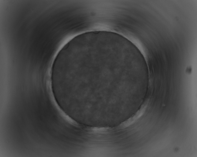 X0000102811389200809081058