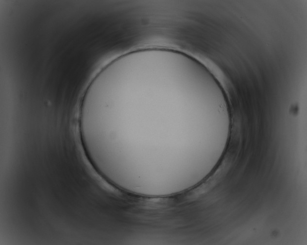 X0000102811390200809081058