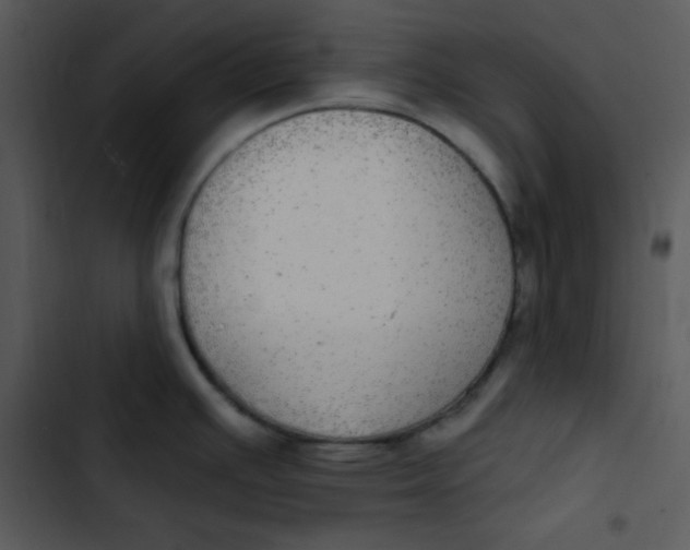 X0000102811391200809081058