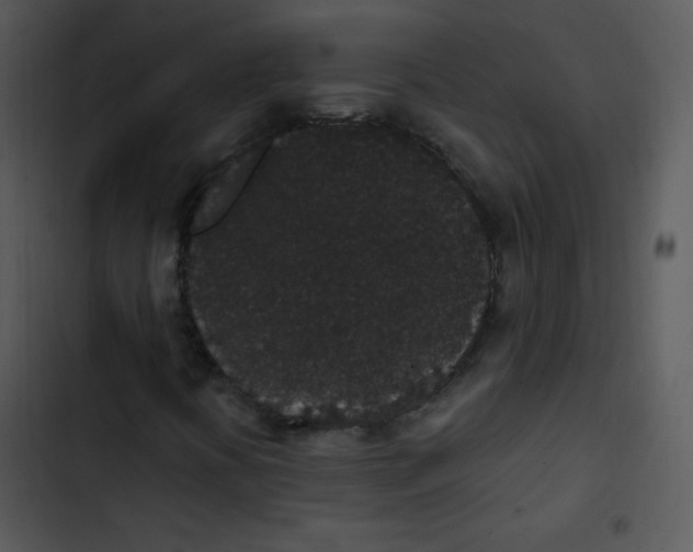 X0000102811394200809081057