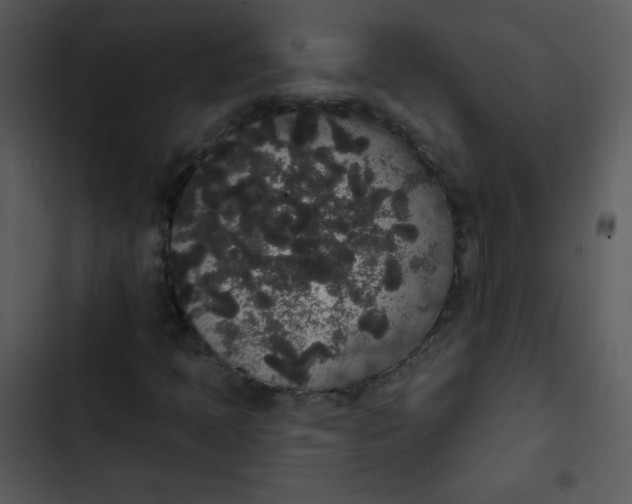 X0000102811397200809081057