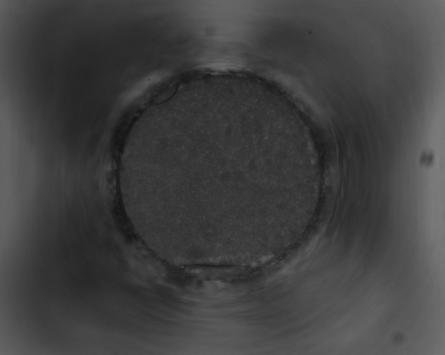 X0000102811398200809081057