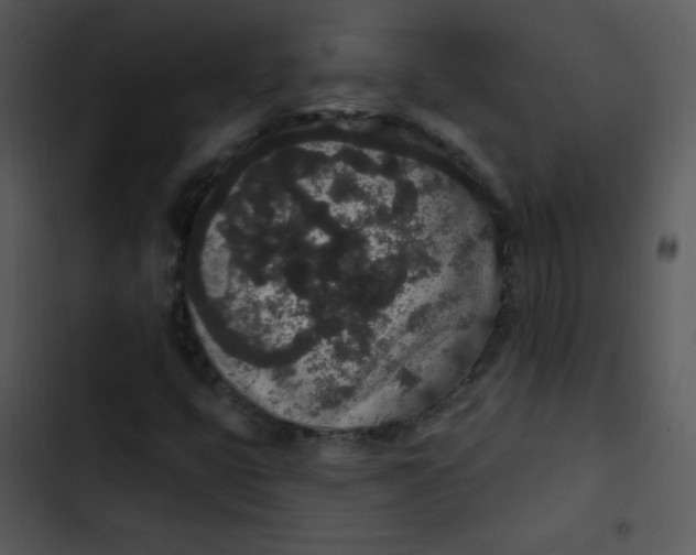 X0000102811399200809081058