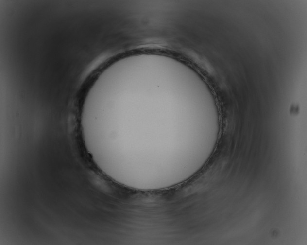 X0000102811400200809081058