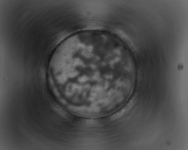 X0000102811401200809081058