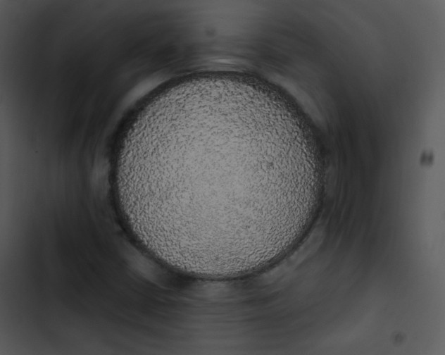 X0000102811402200809081058