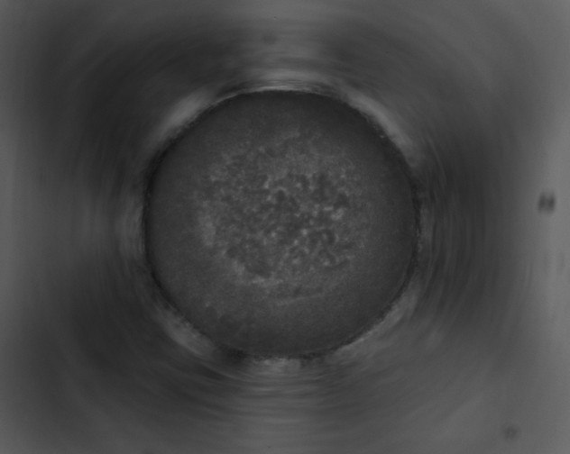 X0000102811403200809081058