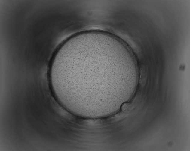 X0000102811404200809081058