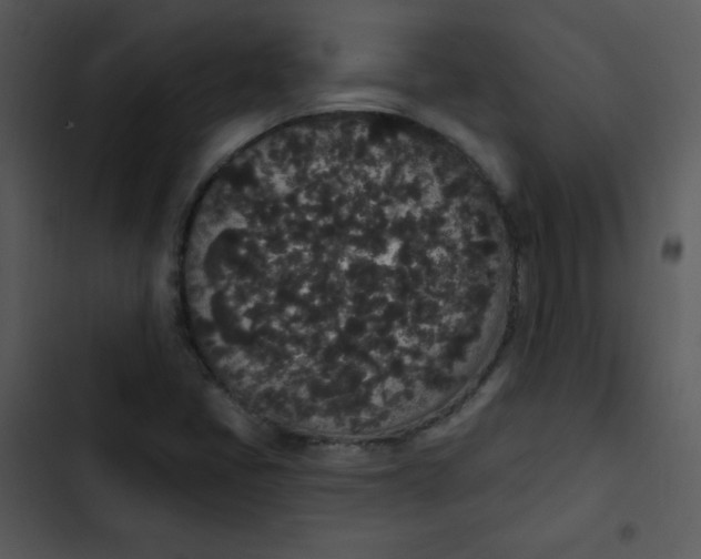 X0000102811405200809081058