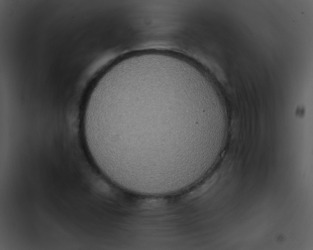 X0000102811406200809081058