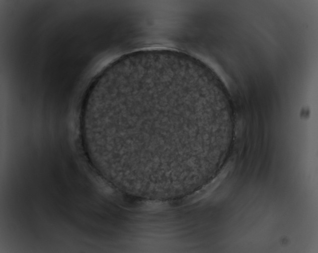 X0000102811407200809081058