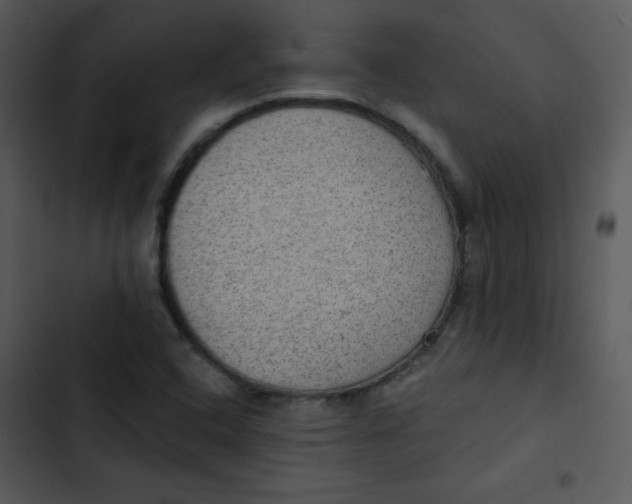 X0000102811408200809081058