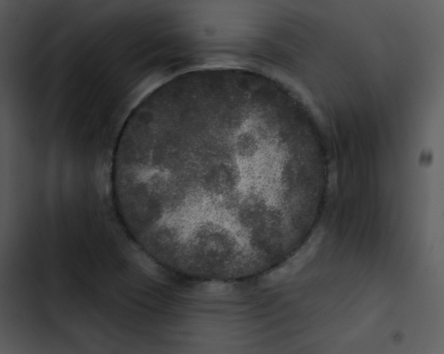 X0000102811409200809081058