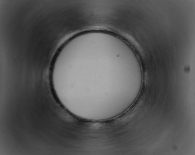 X0000102811412200809081058