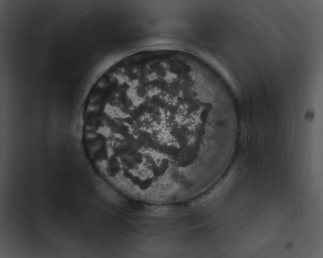 X0000102811413200809081058